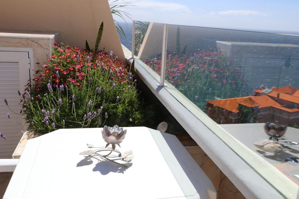 Appartement Penthouse Ventur